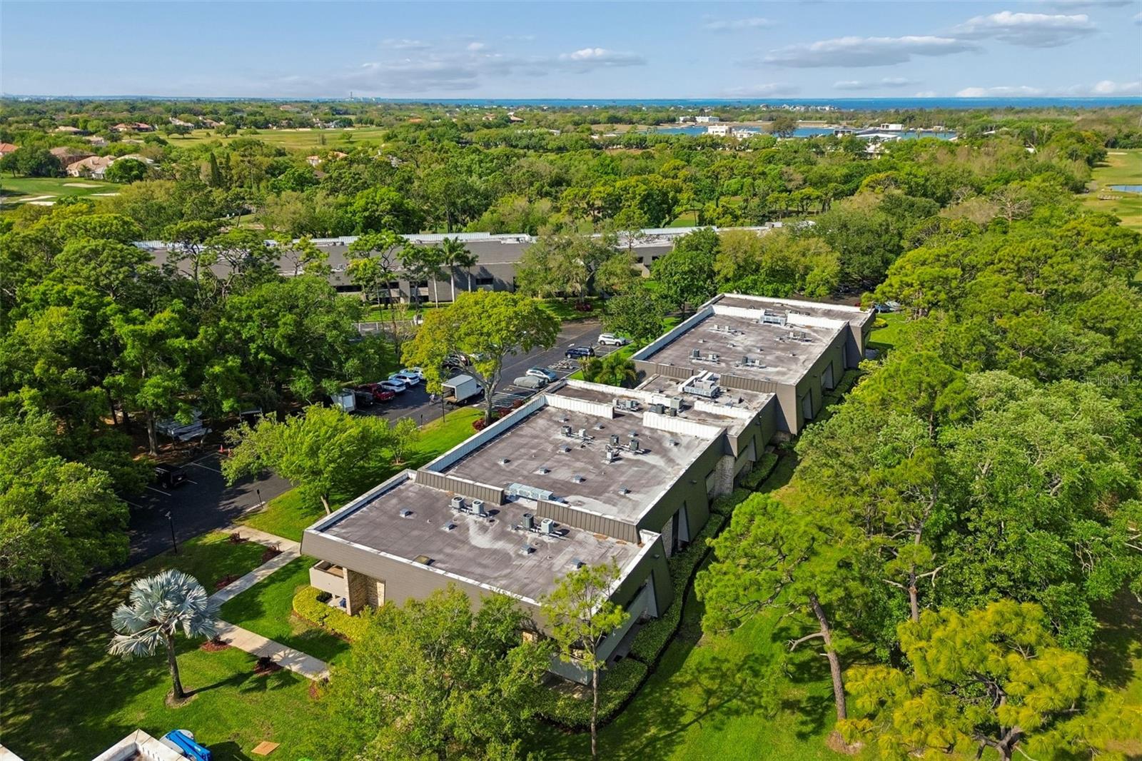 36750 US HIGHWAY 19 N #8-202, PALM HARBOR, FL, 34684
