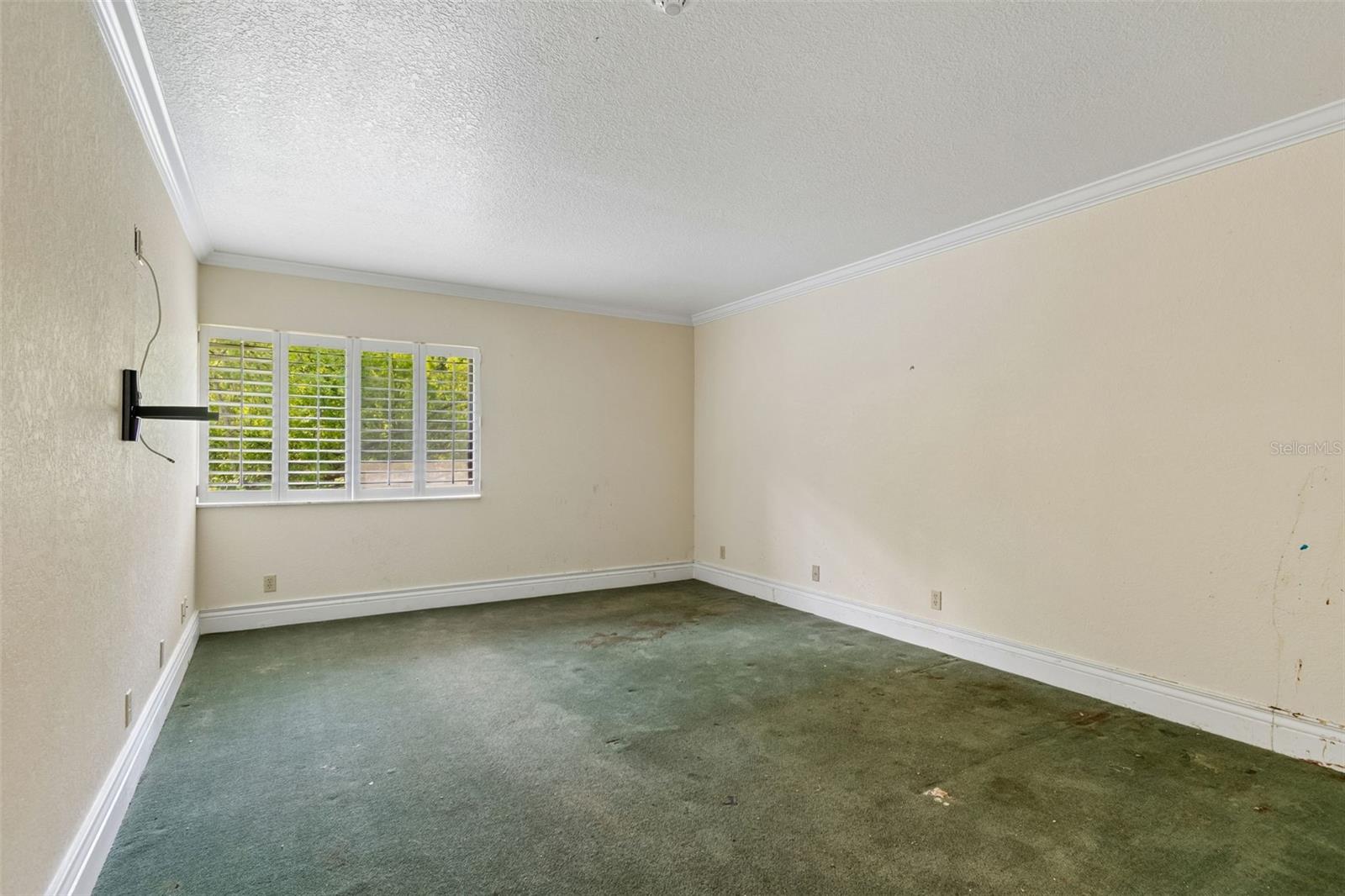 36750 US HIGHWAY 19 N #8-202, PALM HARBOR, FL, 34684