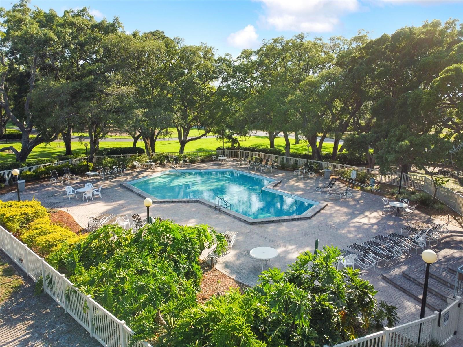 36750 US HIGHWAY 19 N #8-202, PALM HARBOR, FL, 34684
