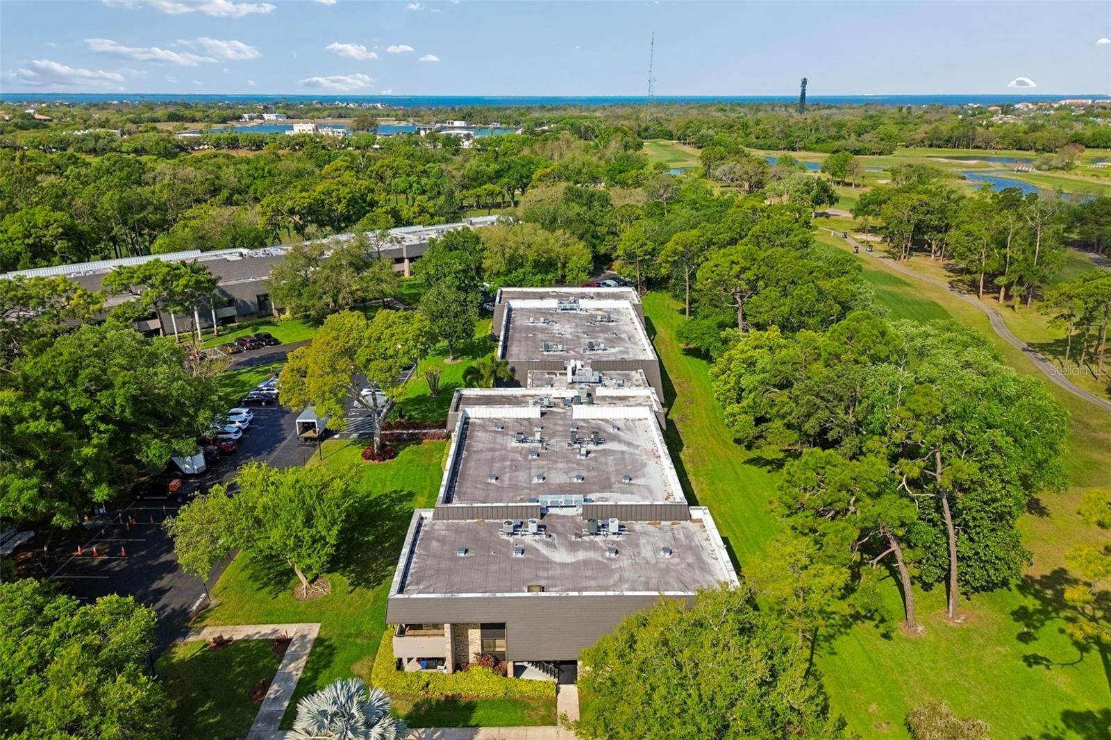 36750 US HIGHWAY 19 N #8-202, PALM HARBOR, FL, 34684