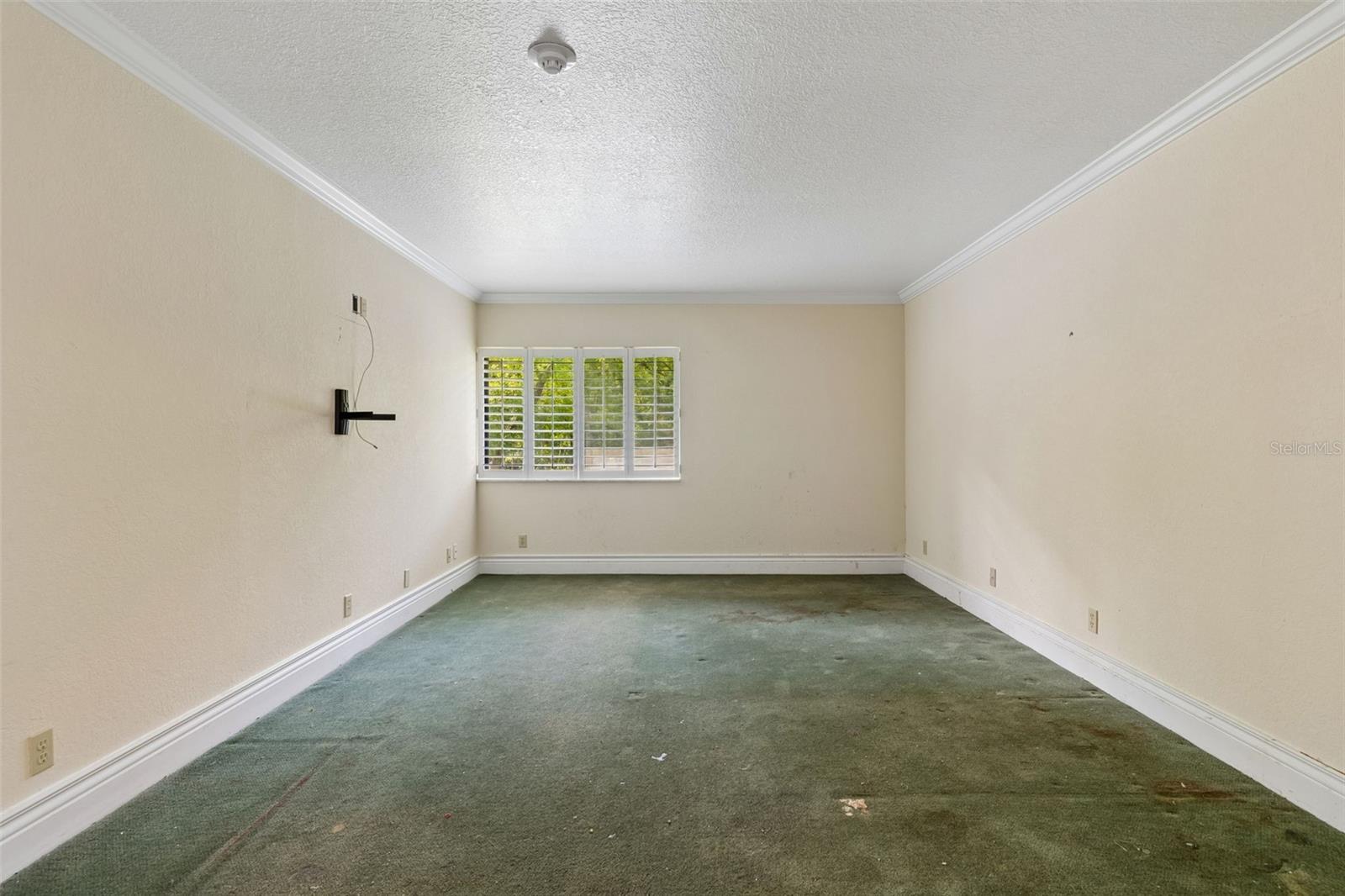 36750 US HIGHWAY 19 N #8-202, PALM HARBOR, FL, 34684