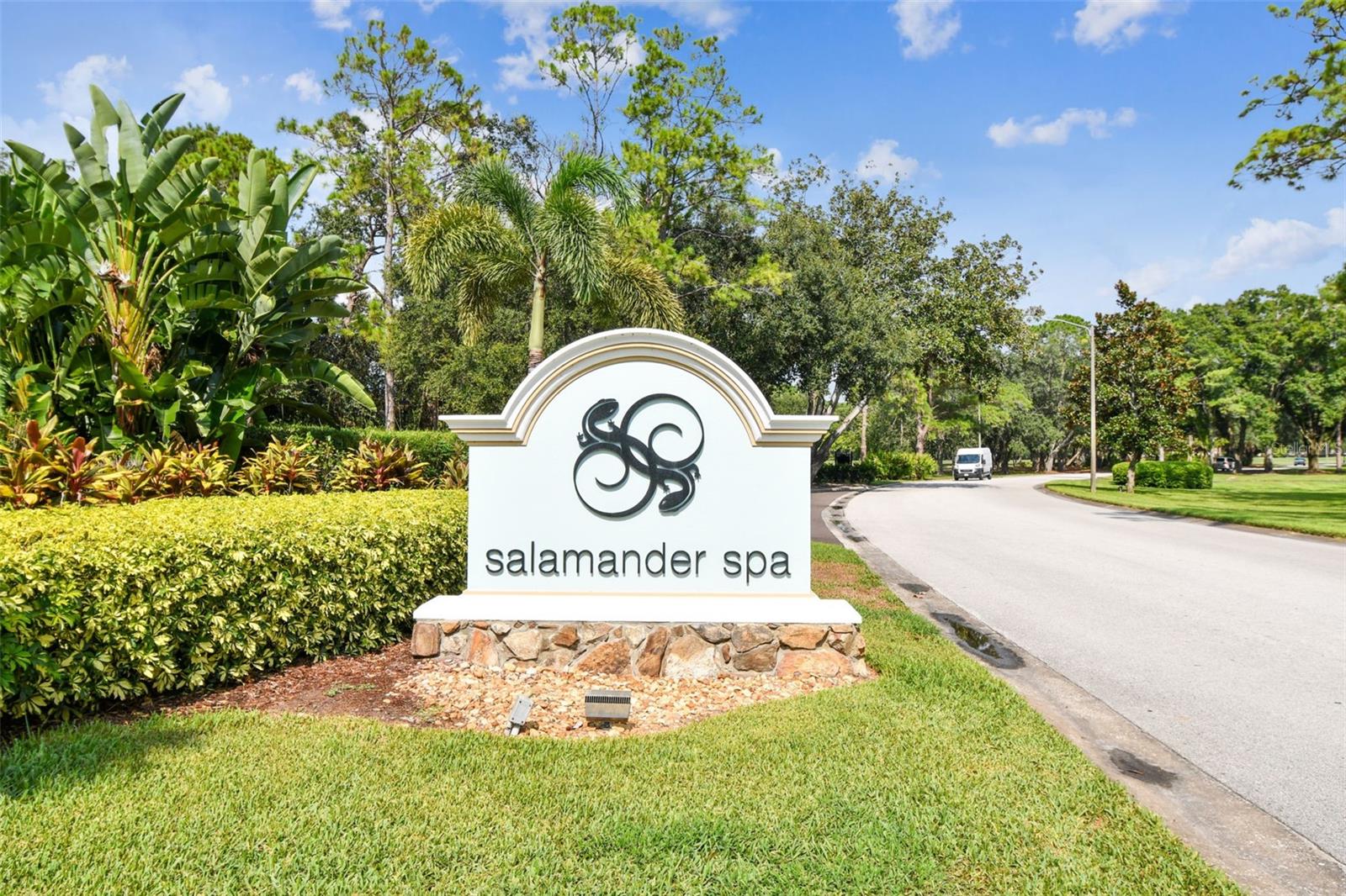 36750 US HIGHWAY 19 N #8-202, PALM HARBOR, FL, 34684