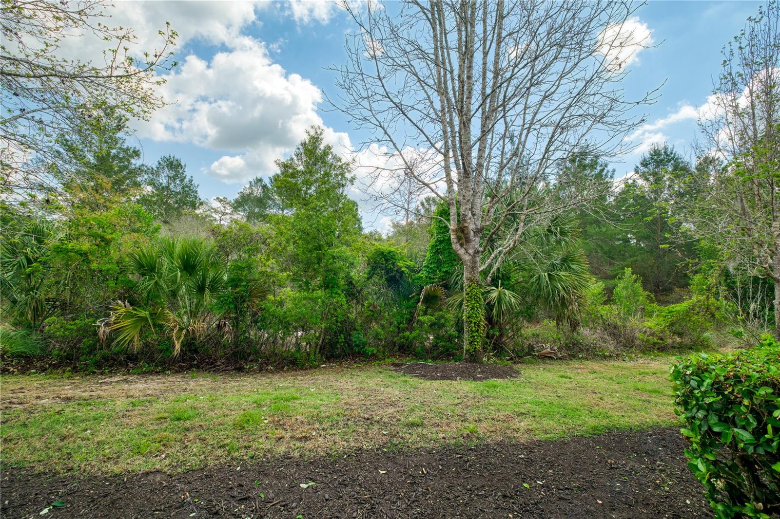 873 ASSEMBLY CT, REUNION, FL, 34747