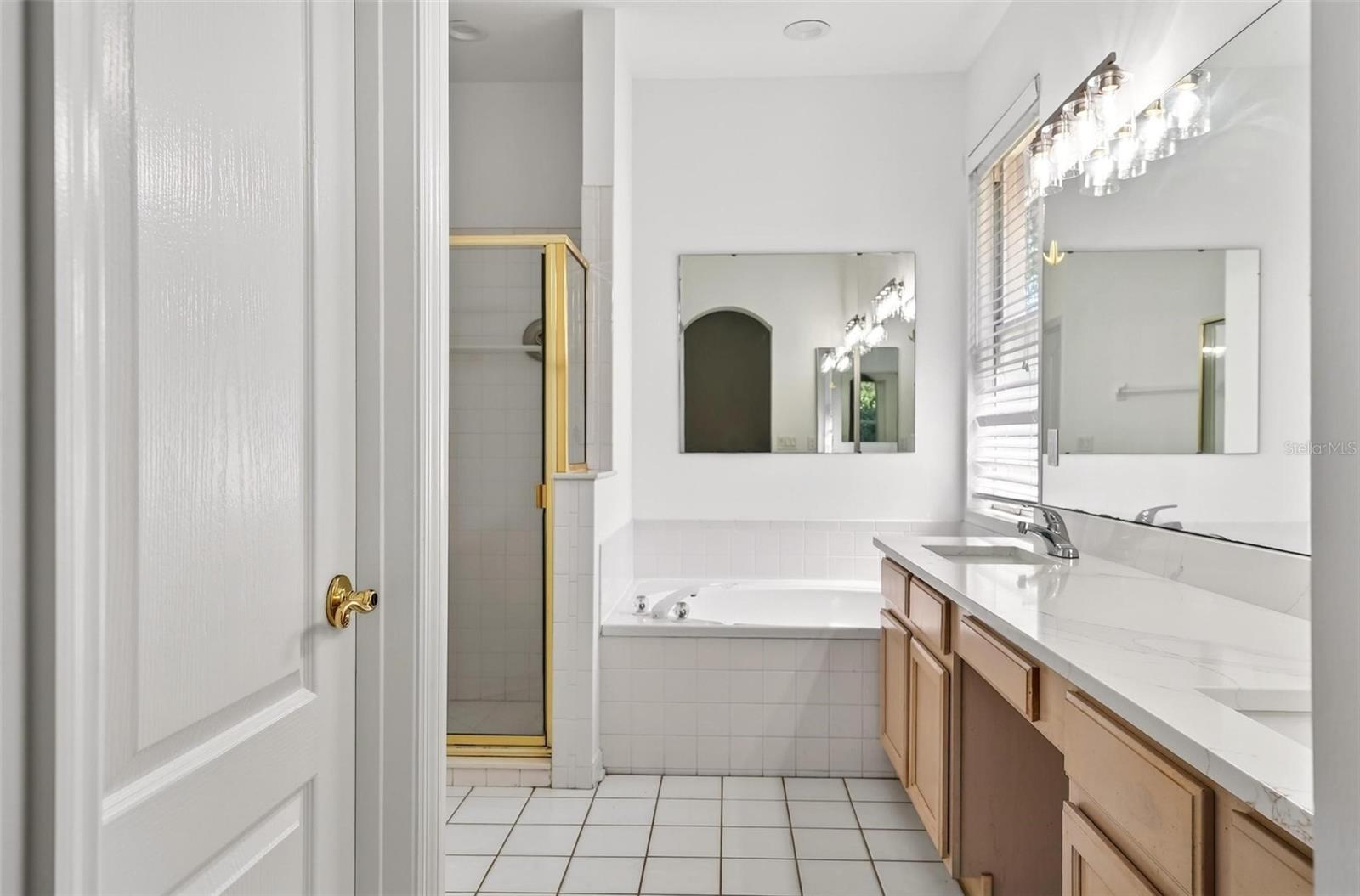 7006 PINE HOLLOW DR, MOUNT DORA, FL, 32757