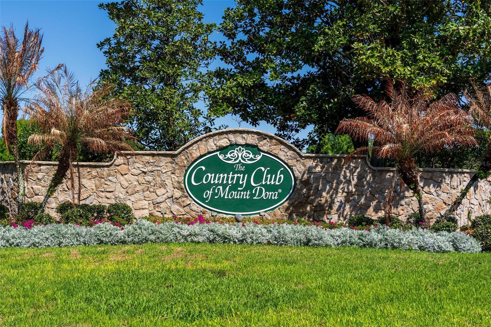 7006 PINE HOLLOW DR, MOUNT DORA, FL, 32757