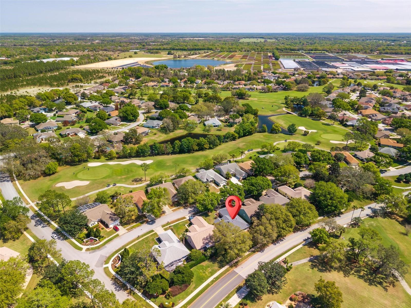 7006 PINE HOLLOW DR, MOUNT DORA, FL, 32757