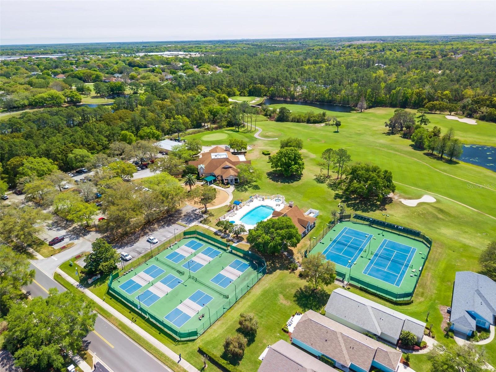 7006 PINE HOLLOW DR, MOUNT DORA, FL, 32757