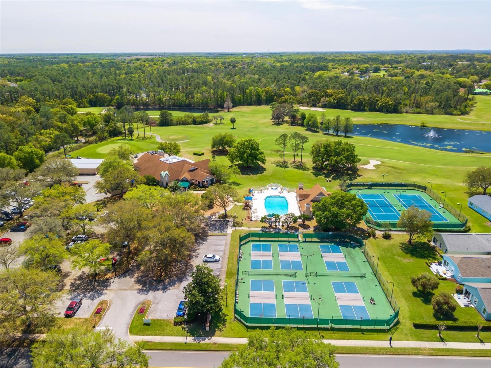 7006 PINE HOLLOW DR, MOUNT DORA, FL, 32757