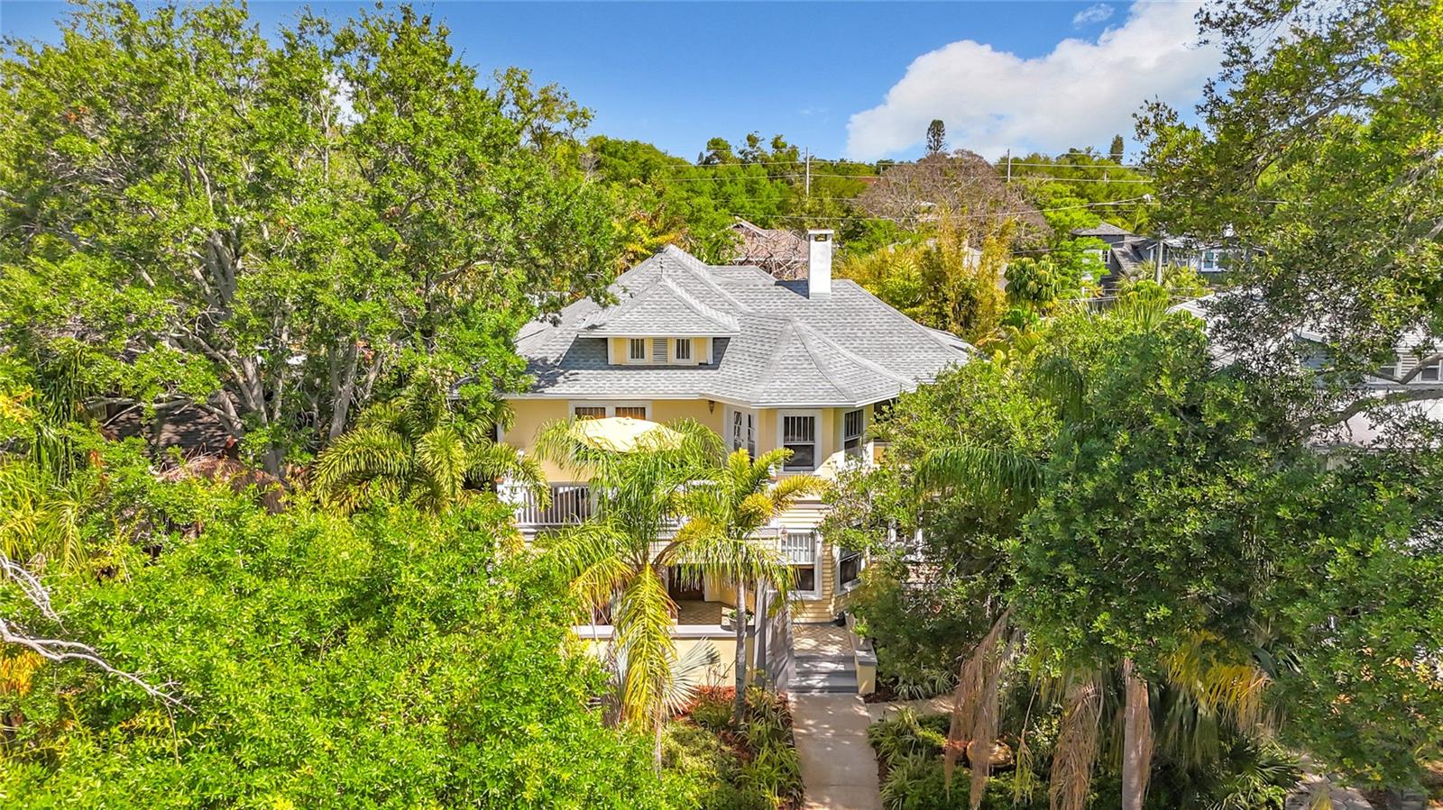 315 8TH AVE NE, ST PETERSBURG, FL, 33701