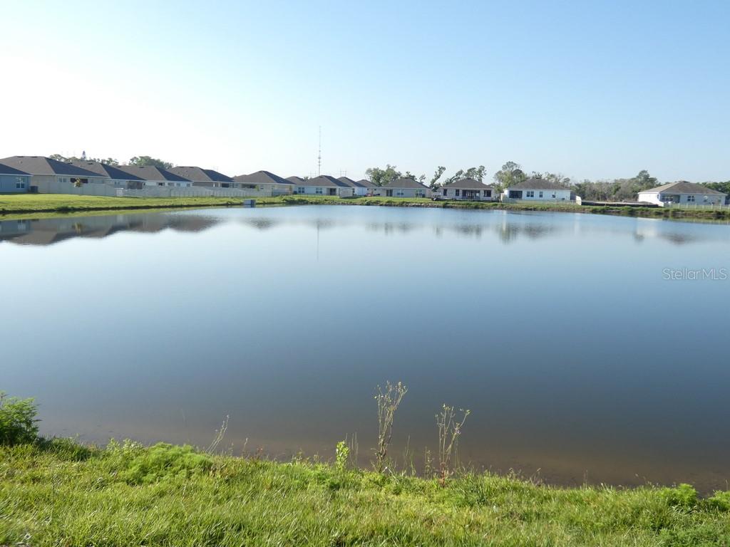 1257 MARITIME HAMMOCK AVE, RUSKIN, FL, 33570