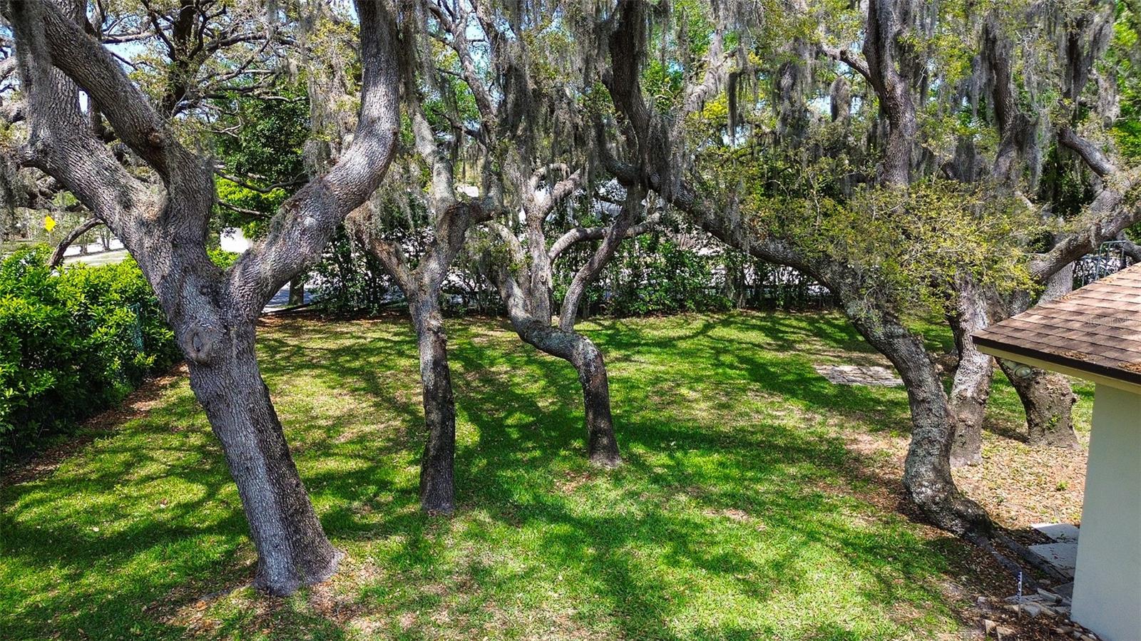 2840 PHEASANT RUN, CLEARWATER, FL, 33759