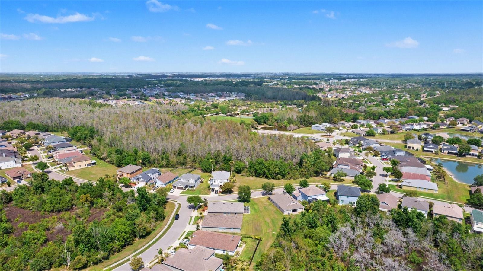 30142 SOTOGRANDE LOOP, WESLEY CHAPEL, FL, 33543