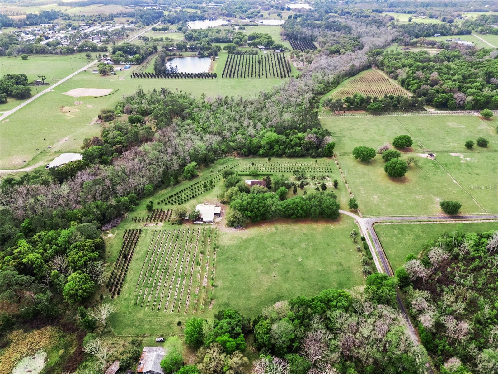 3466 CROSS BRANCH RD, DELAND, FL, 32724