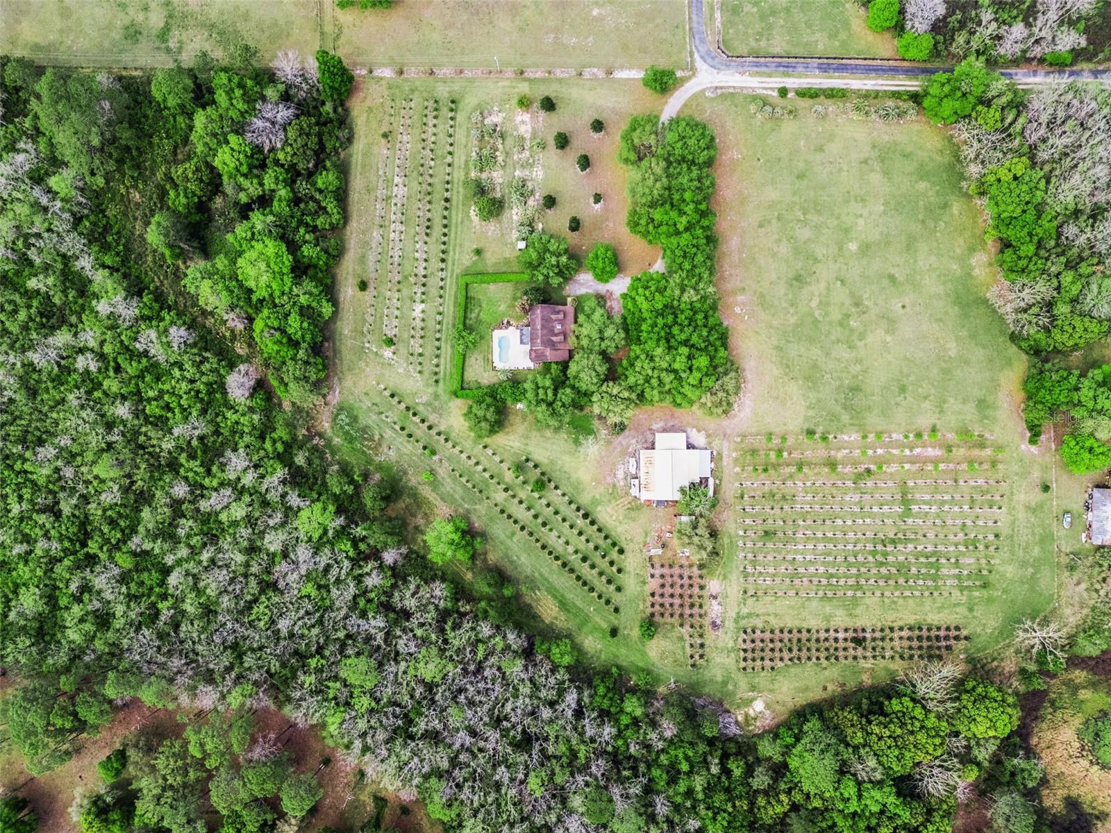3466 CROSS BRANCH RD, DELAND, FL, 32724