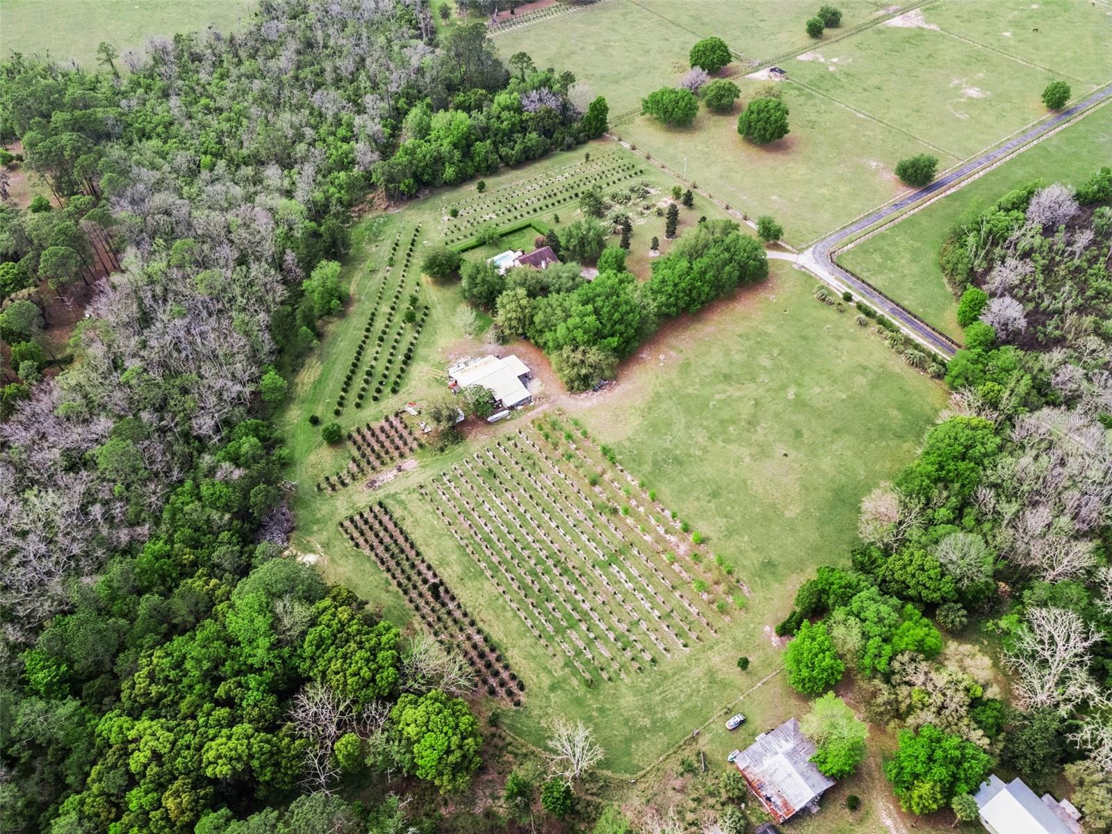 3466 CROSS BRANCH RD, DELAND, FL, 32724