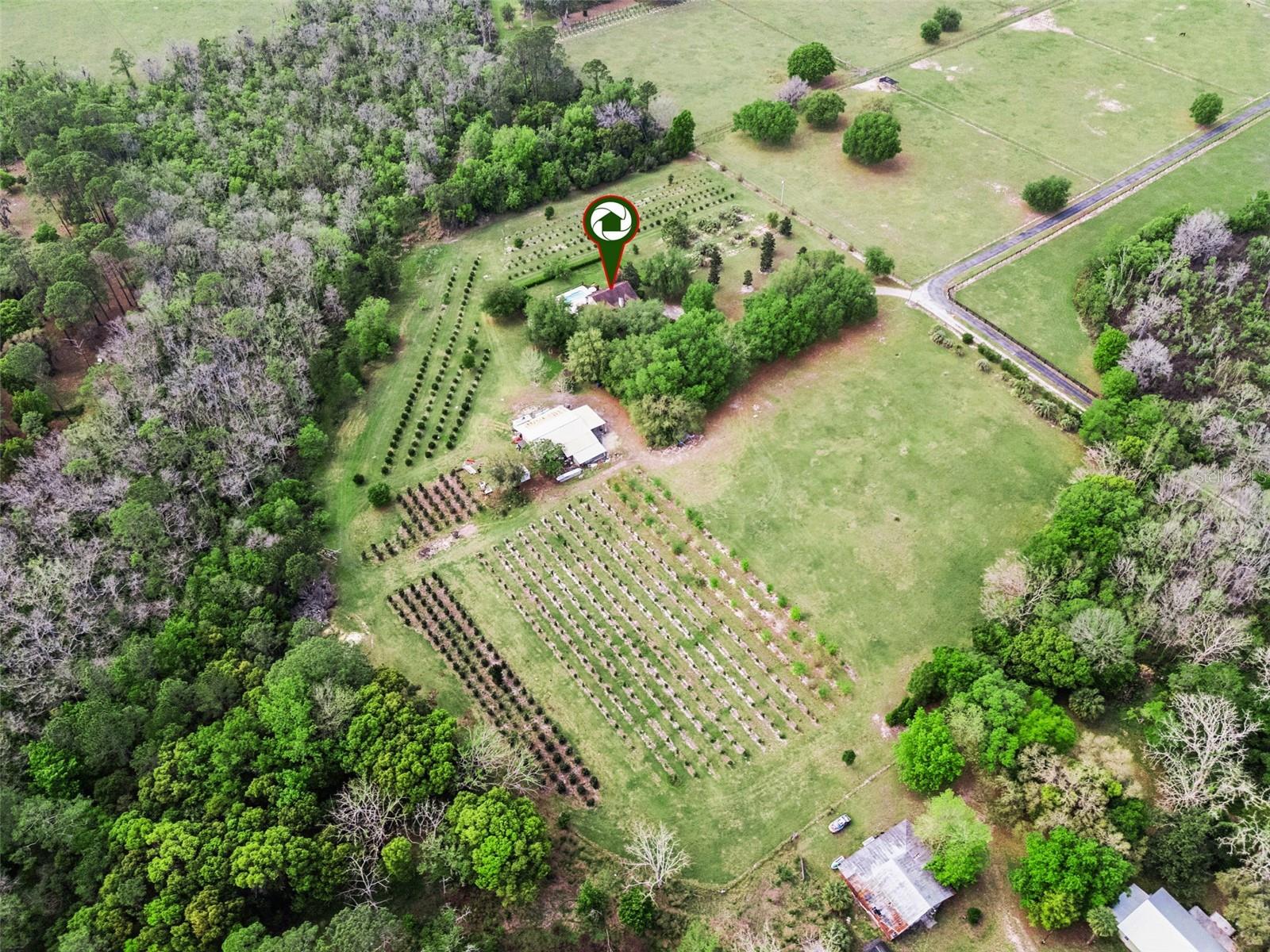 3466 CROSS BRANCH RD, DELAND, FL, 32724
