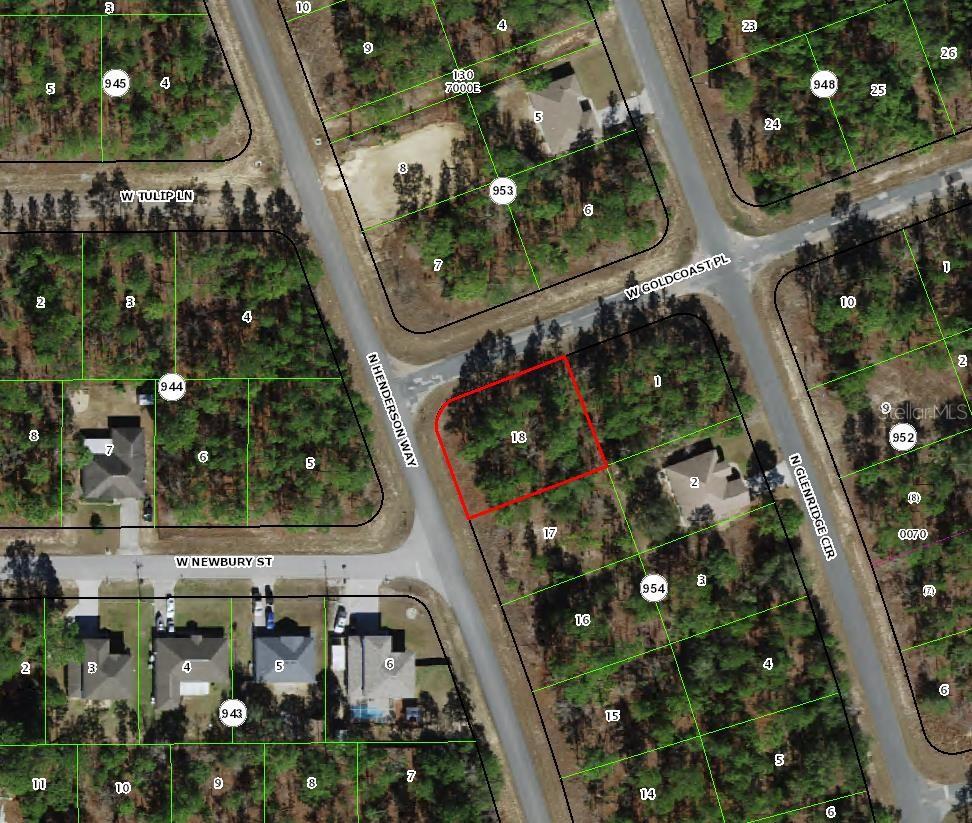 7101 N HENDERSON WAY, DUNNELLON, FL, 34434