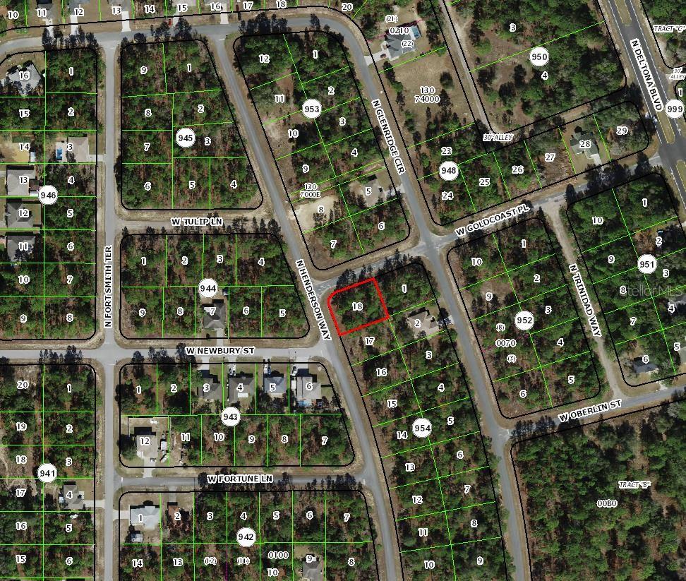 7101 N HENDERSON WAY, DUNNELLON, FL, 34434
