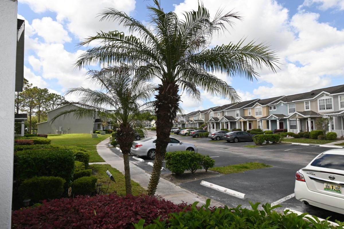 3414 BROKEN BOW DR, LAND O LAKES, FL, 34639