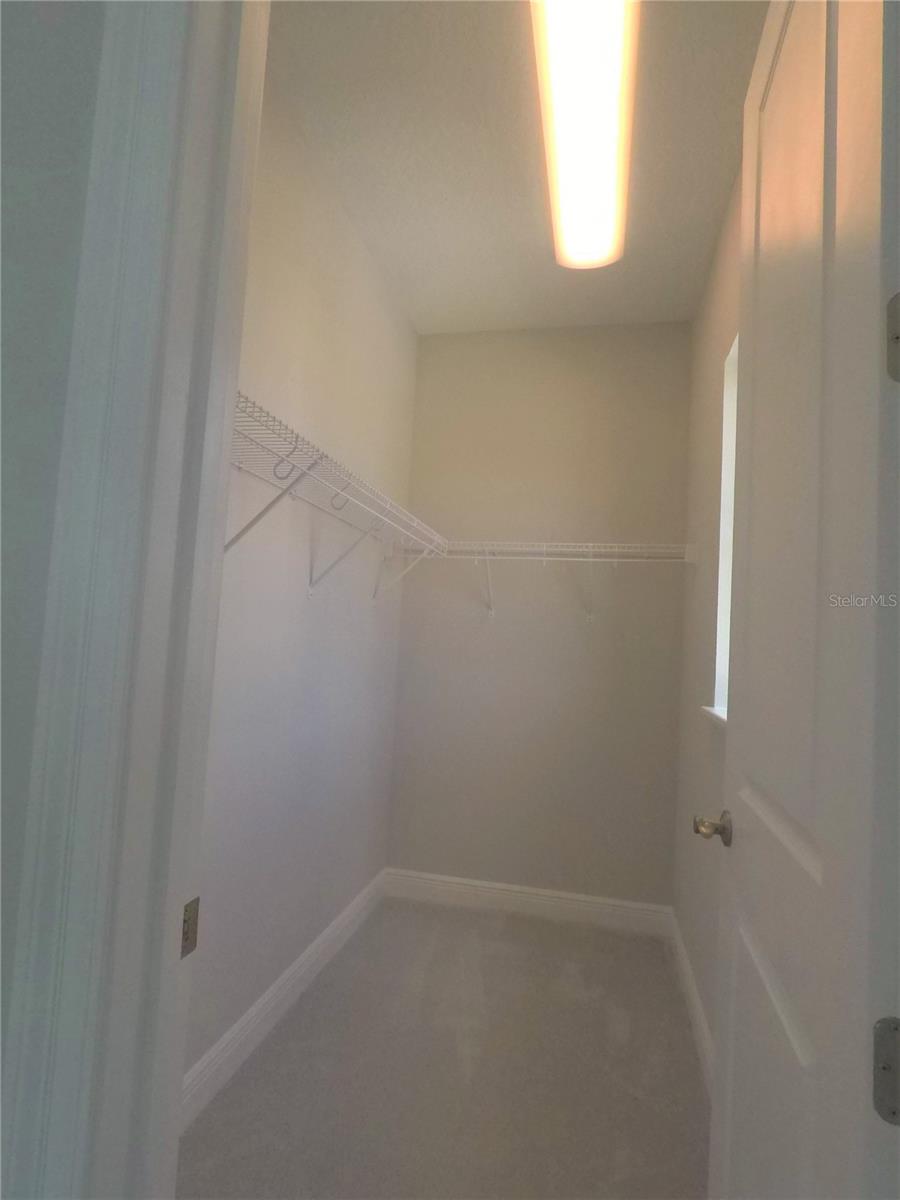 15738 SHOREBIRD LN, WINTER GARDEN, FL, 34787