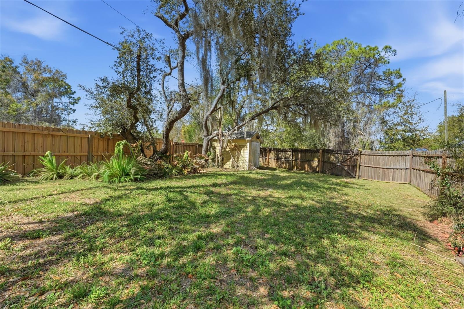 12311 N PUTNEY CT, LEESBURG, FL, 34788