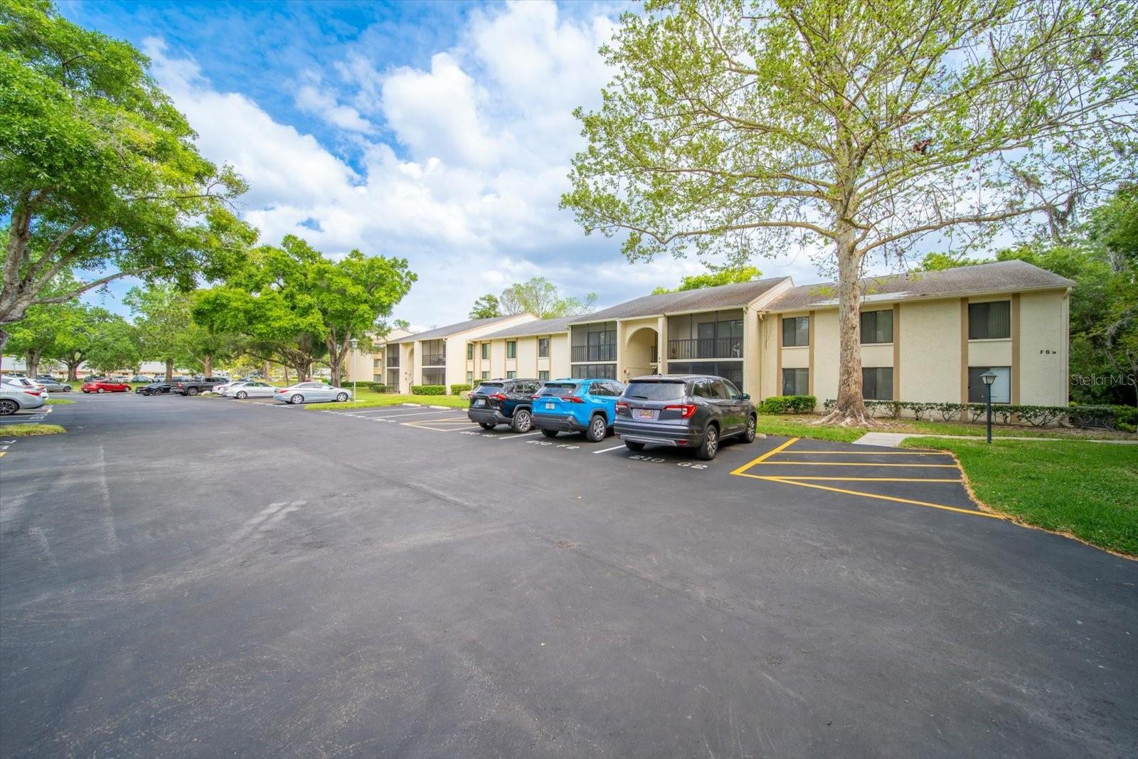 1441 PINE GLEN LN #E2, TARPON SPRINGS, FL, 34688