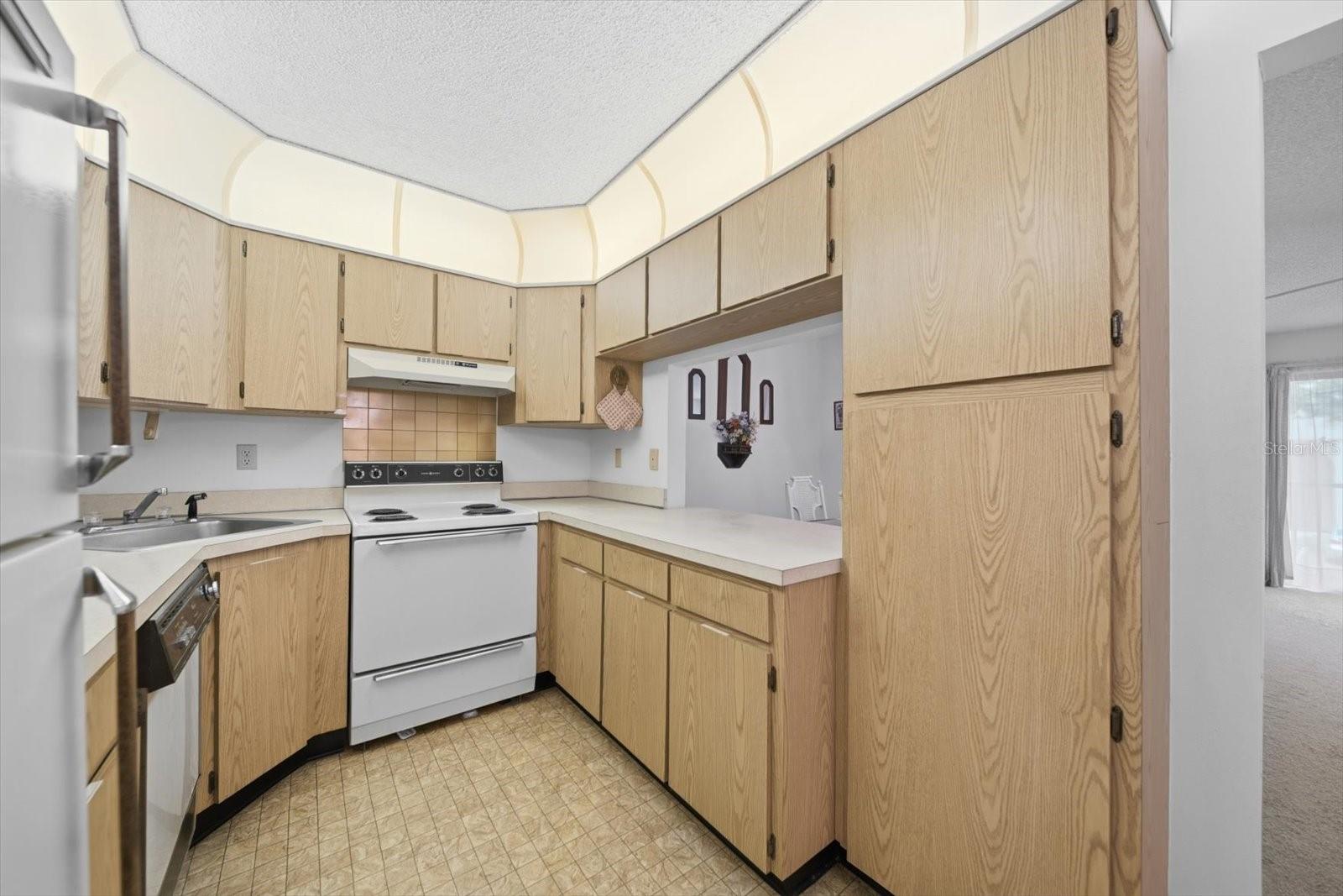 1441 PINE GLEN LN #E2, TARPON SPRINGS, FL, 34688