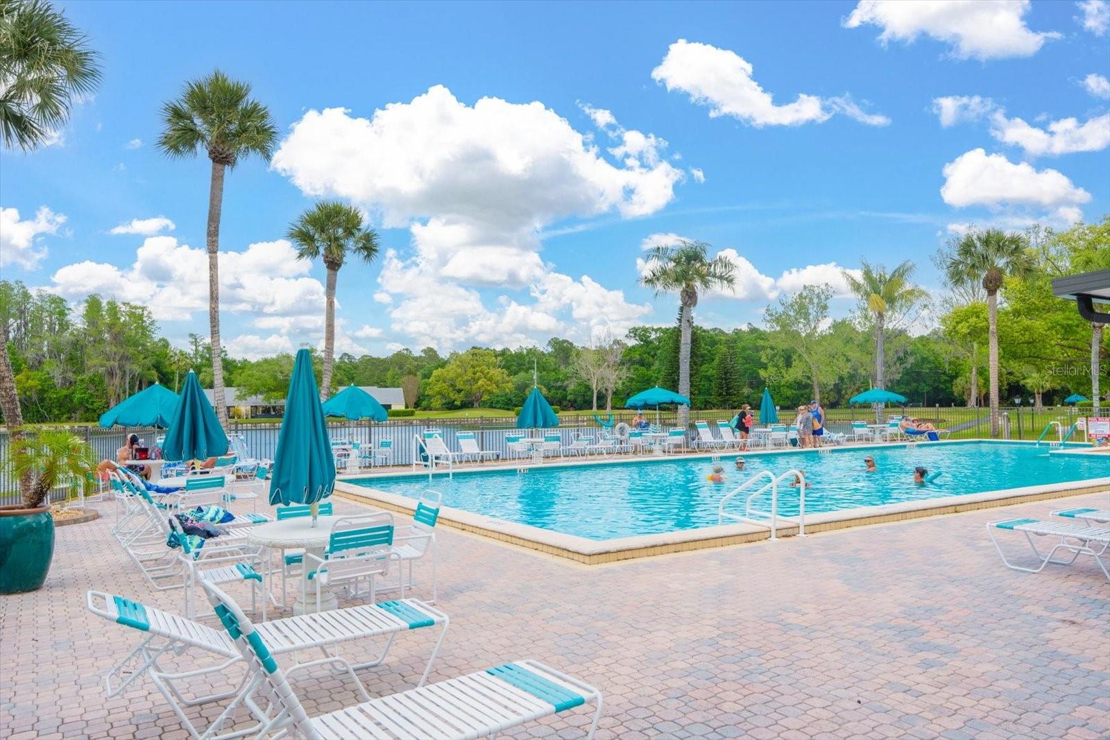 1441 PINE GLEN LN #E2, TARPON SPRINGS, FL, 34688