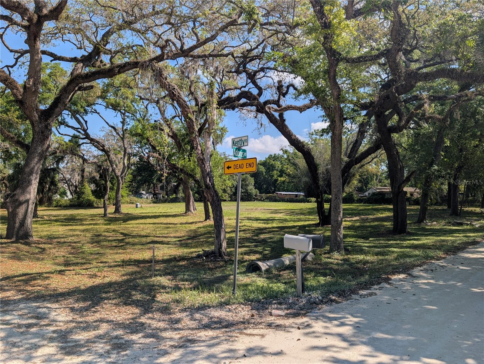 8519 ADONIS RD, NEW PORT RICHEY, FL, 34654