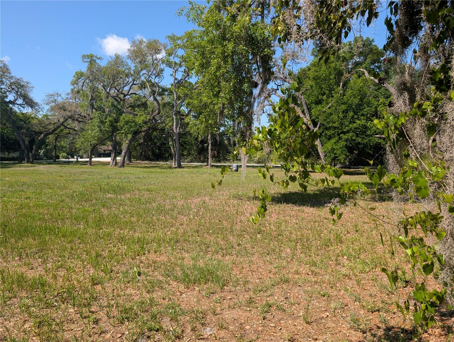 8519 ADONIS RD, NEW PORT RICHEY, FL, 34654