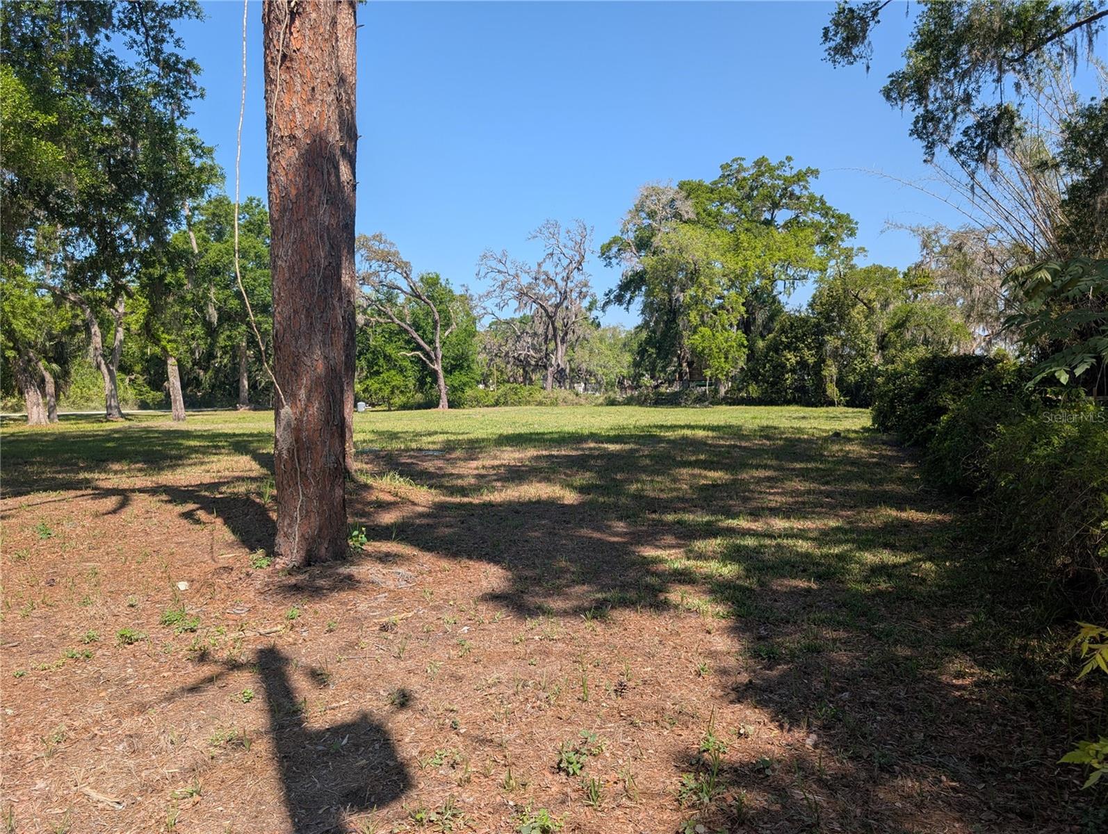 8519 ADONIS RD, NEW PORT RICHEY, FL, 34654