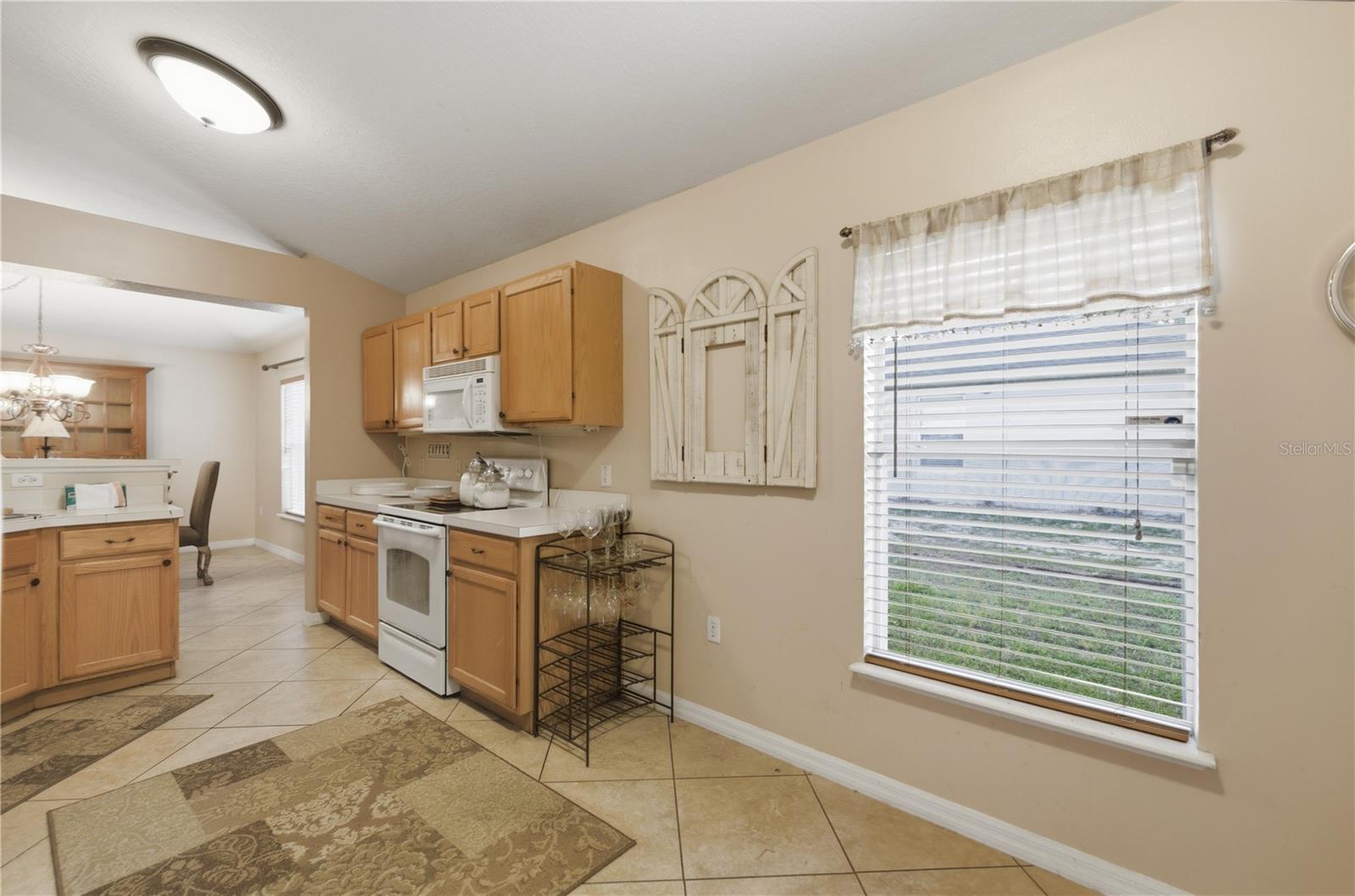 6025 SW 128TH STREET RD, OCALA, FL, 34473