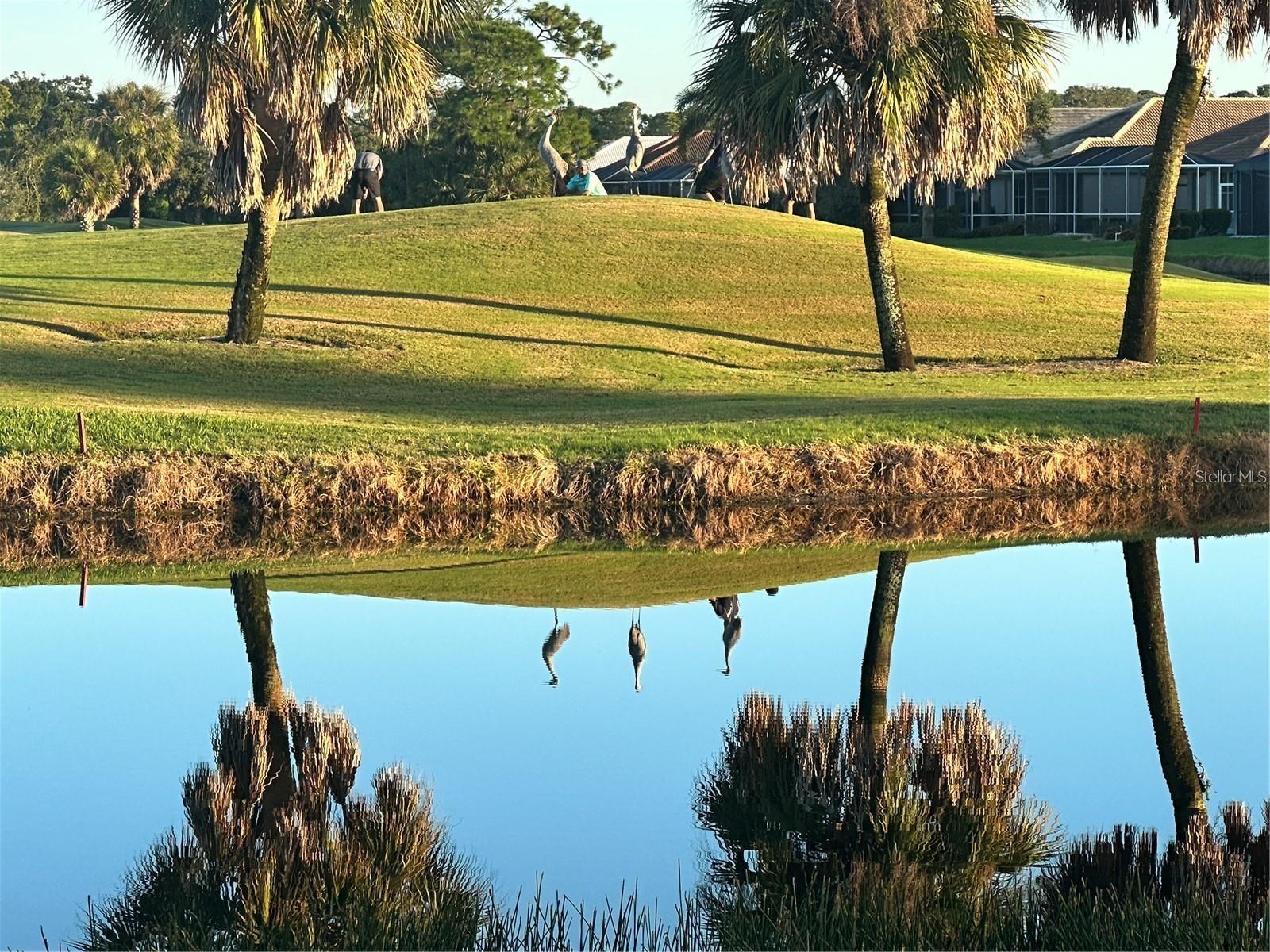 1903 SAN SILVESTRO DR, VENICE, FL, 34285