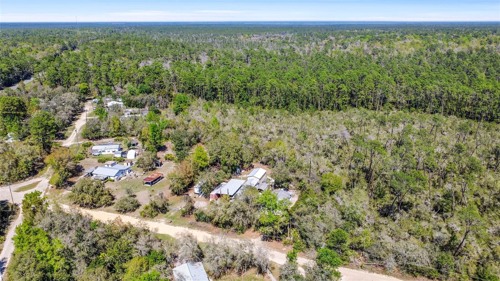 19215 NATIONAL FOREST SR 573, ALTOONA, FL, 32702
