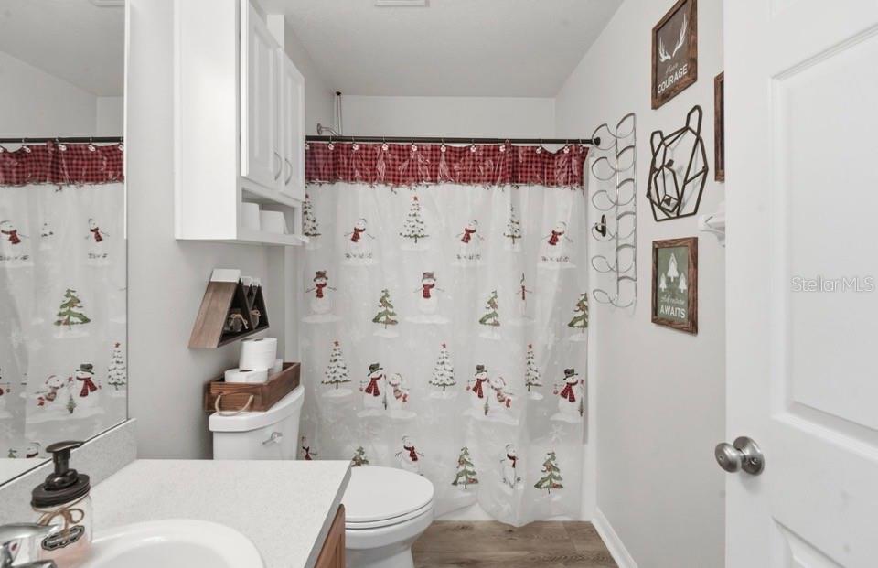 656 SWAN RANGE RD, ORANGE CITY, FL, 32763