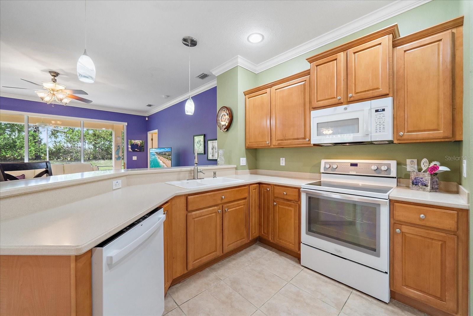 11547 52ND CT E, PARRISH, FL, 34219