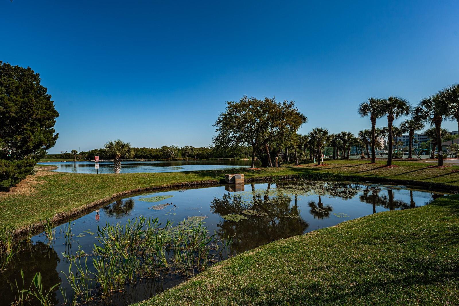 Shores of Long Bayou Grounds