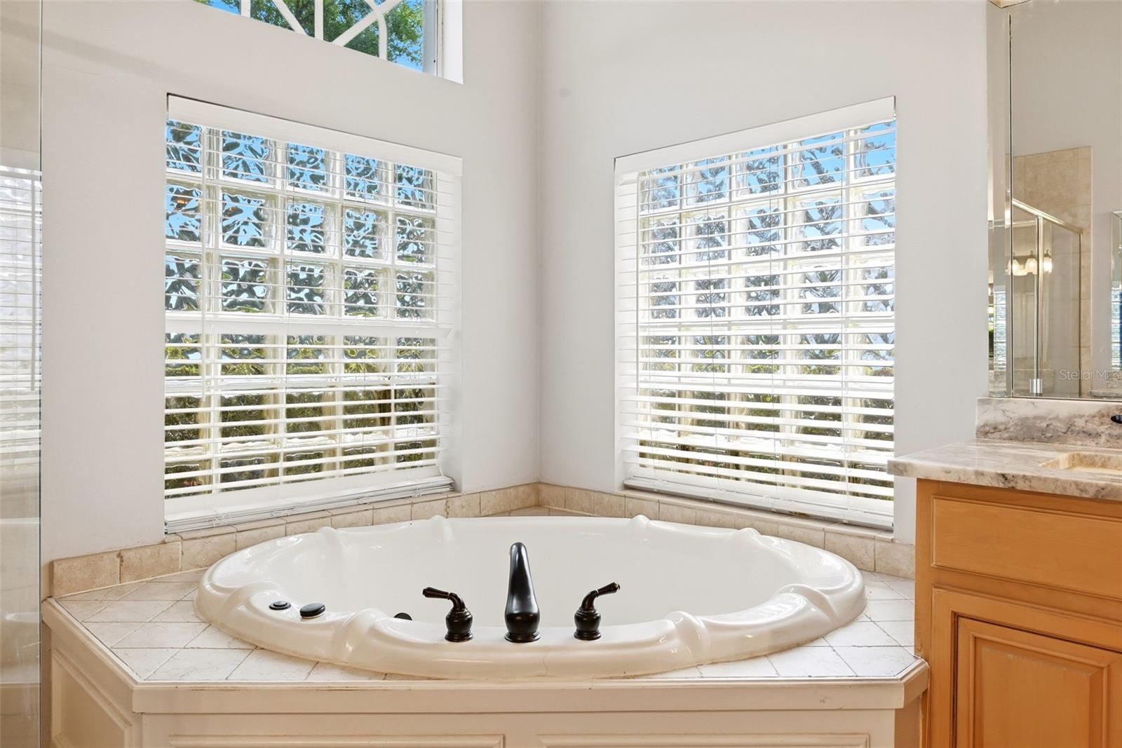 9119 BALMORAL MEWS SQ, WINDERMERE, FL, 34786
