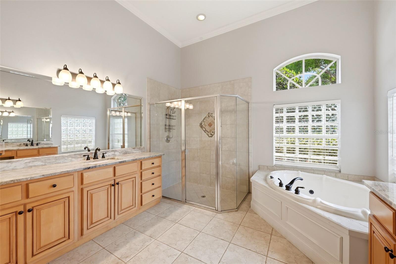 9119 BALMORAL MEWS SQ, WINDERMERE, FL, 34786