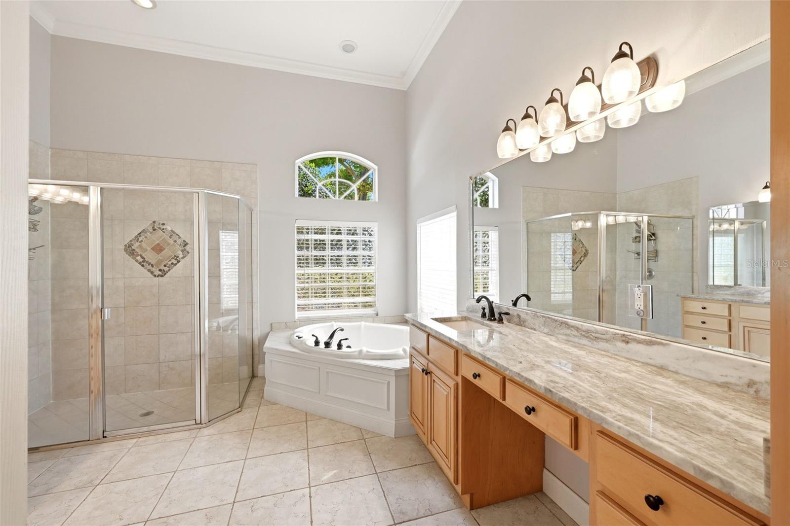 9119 BALMORAL MEWS SQ, WINDERMERE, FL, 34786