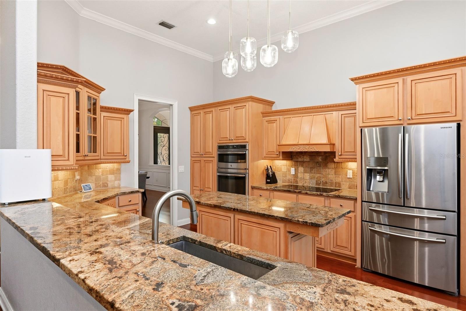 9119 BALMORAL MEWS SQ, WINDERMERE, FL, 34786