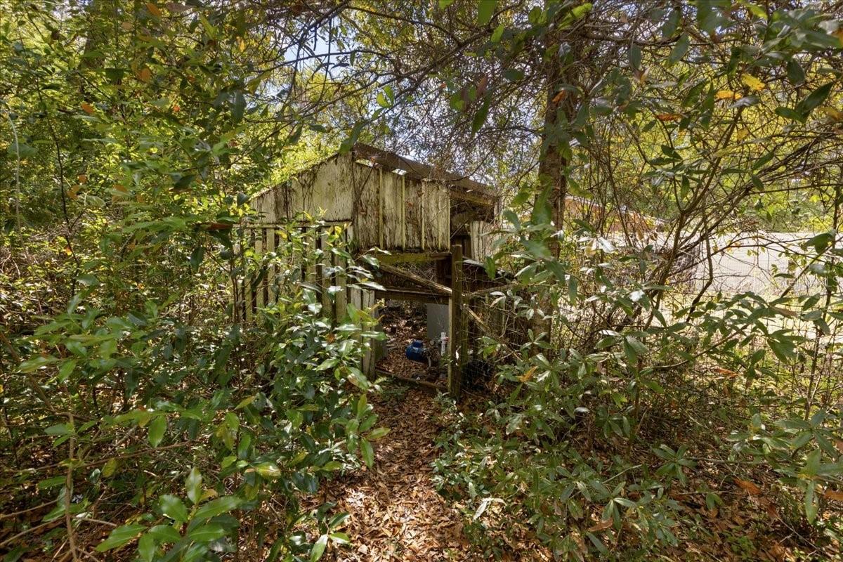 6950 SE HIGHWAY 41, MORRISTON, FL, 32668