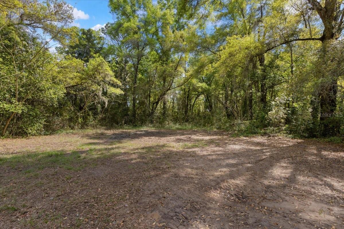 6950 SE HIGHWAY 41, MORRISTON, FL, 32668
