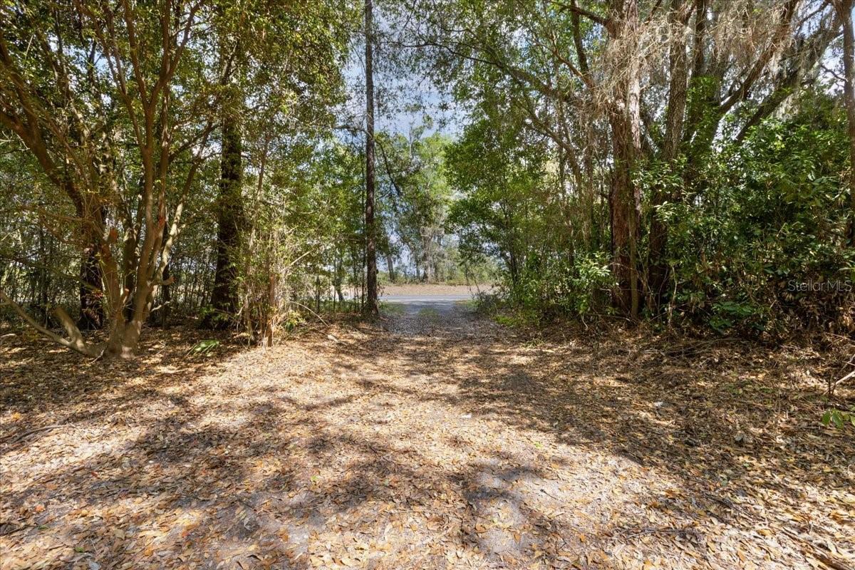 6950 SE HIGHWAY 41, MORRISTON, FL, 32668