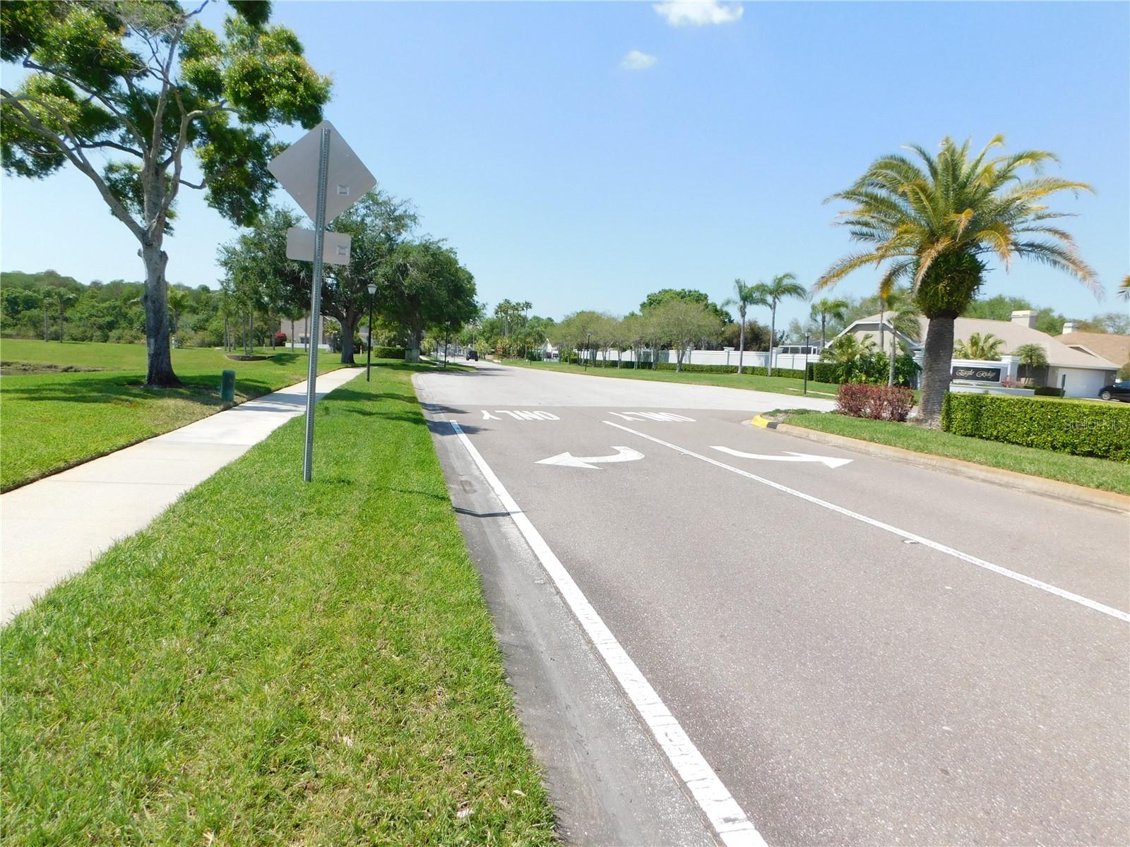 1720 ARABIAN LN, PALM HARBOR, FL, 34685