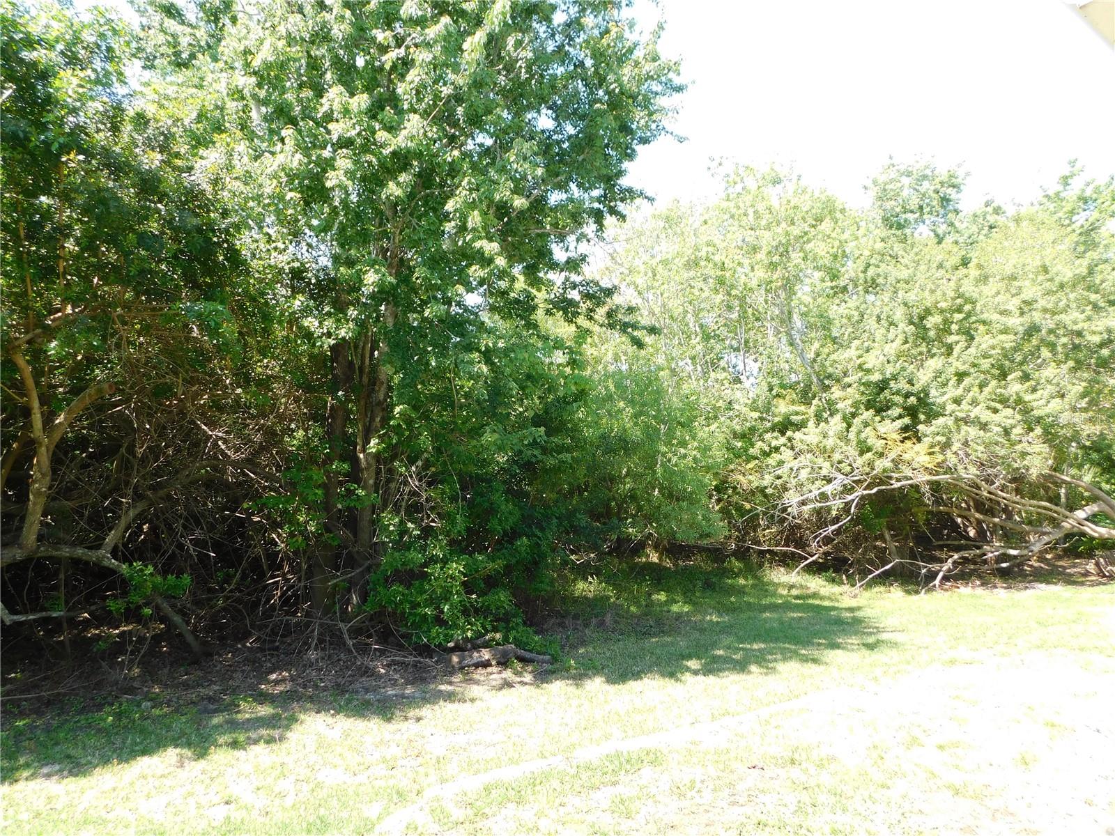 1720 ARABIAN LN, PALM HARBOR, FL, 34685