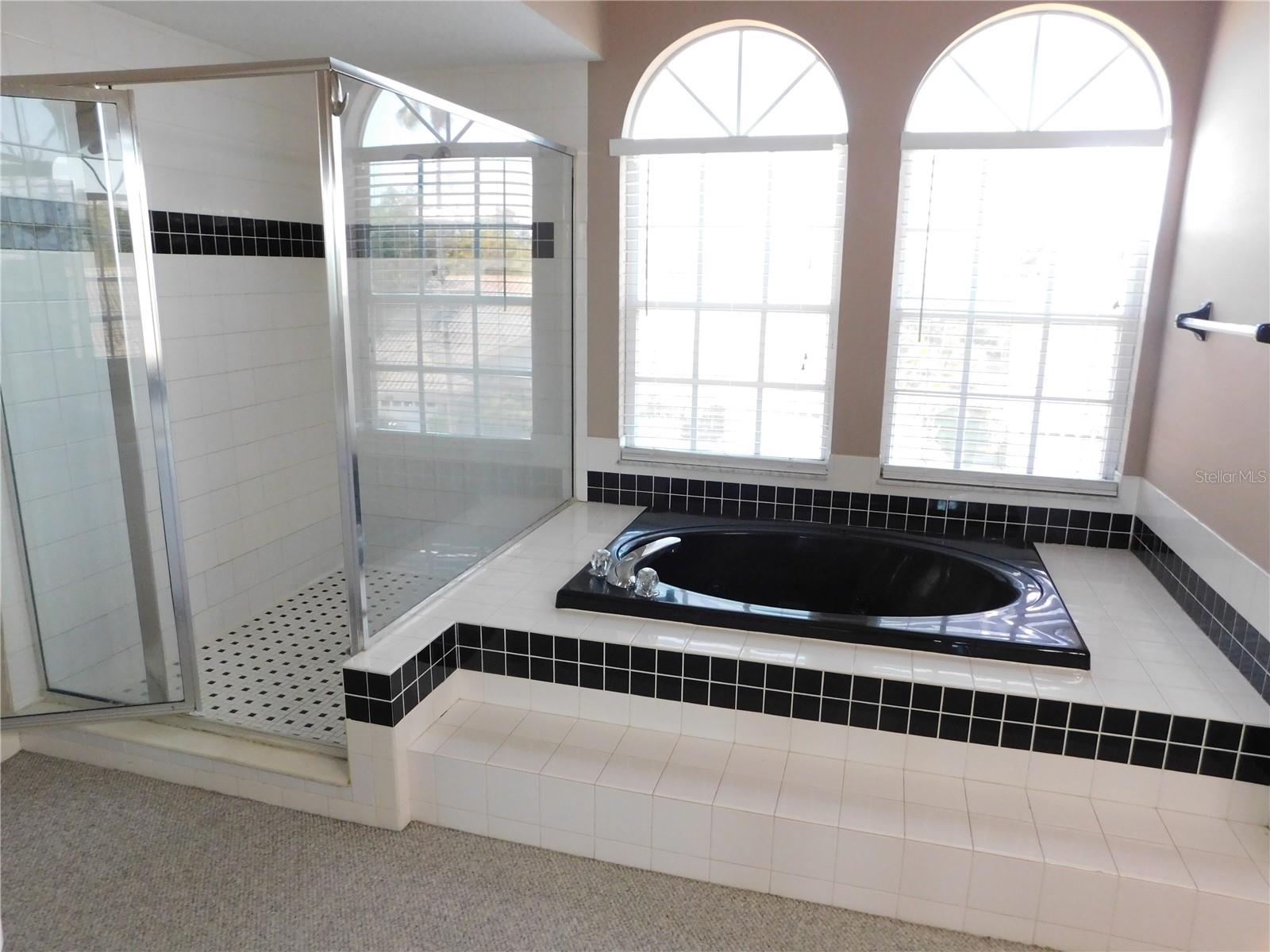 1720 ARABIAN LN, PALM HARBOR, FL, 34685