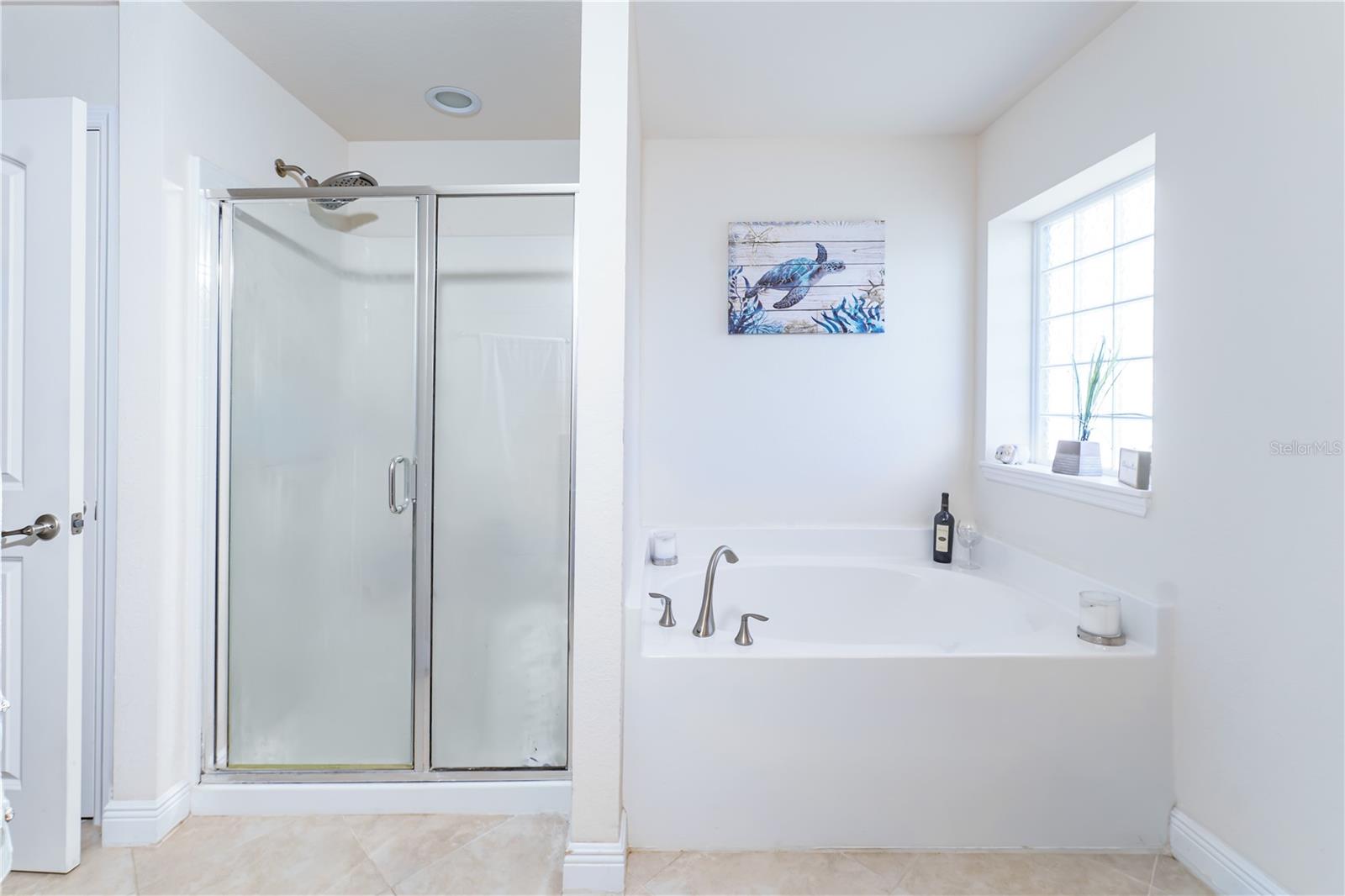 10931 STANDING STONE DR, WIMAUMA, FL, 33598
