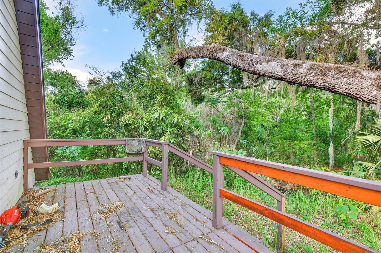 14953 SE 107TH AVE, SUMMERFIELD, FL, 34491