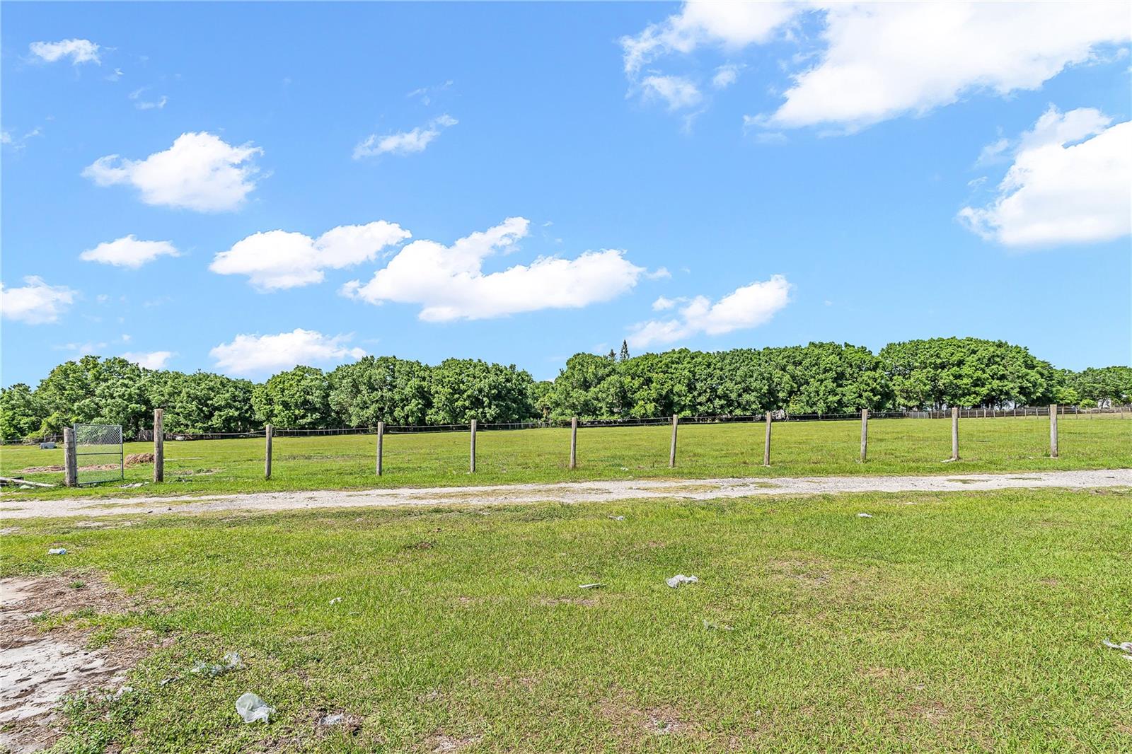 1321 BLUFF HAMMOCK RD, LORIDA, FL, 33857
